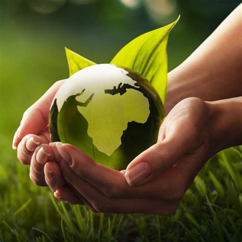 10 Best Anime About Protecting The Environment .